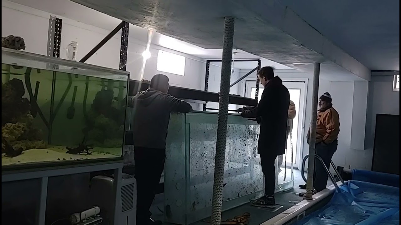 Ohio fish rescue at my house!!