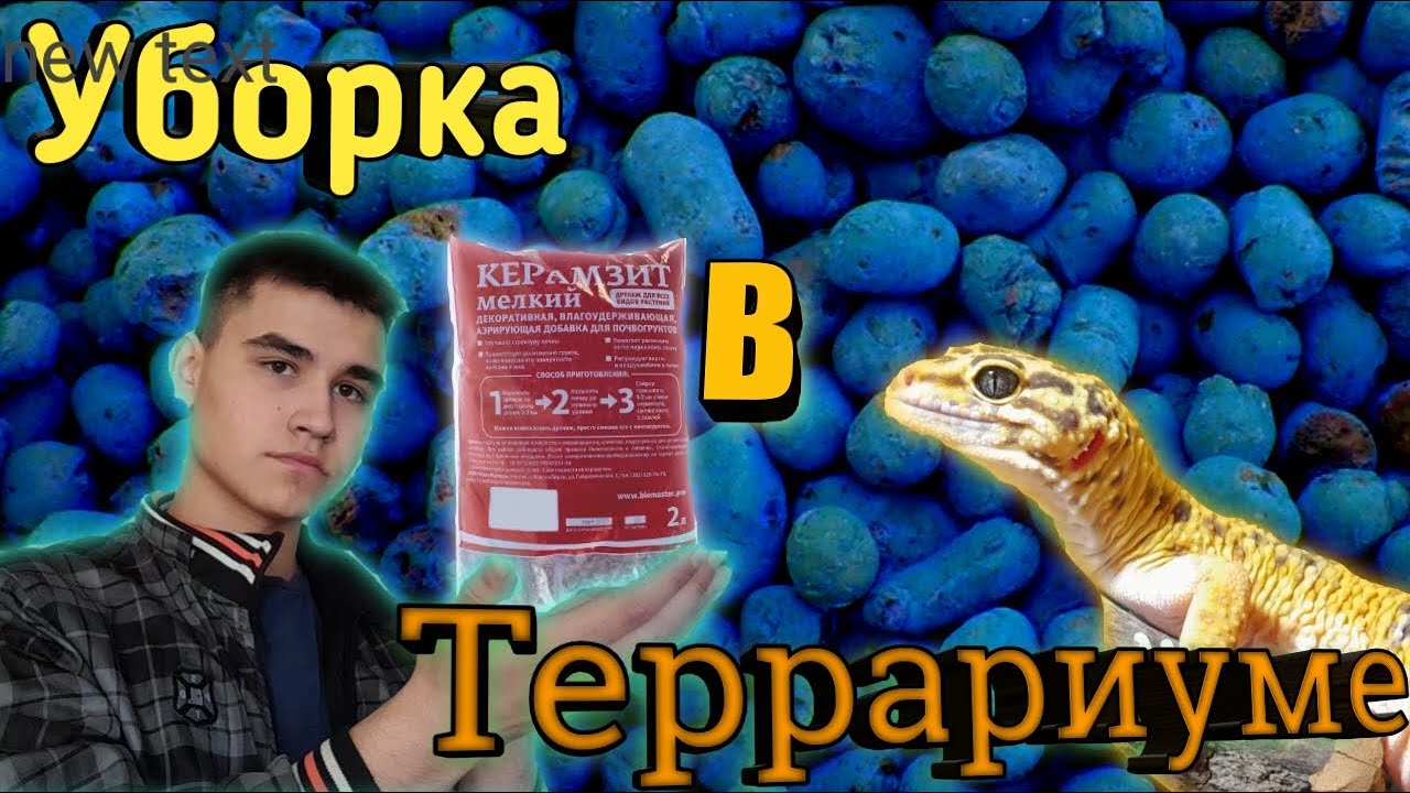 Уборка в террариуме эублефара!