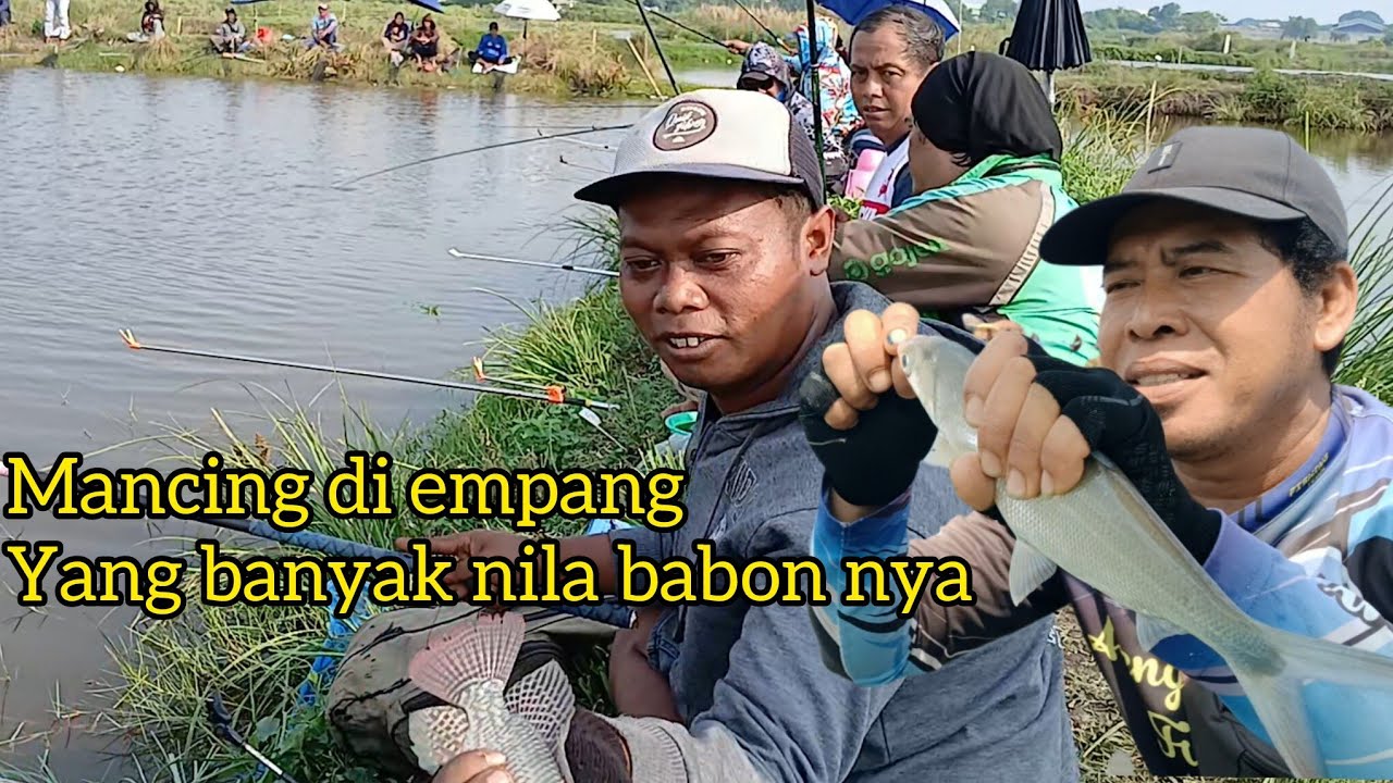 Info Kotrekan sabtu 07 Desember 2025 tiket 40k empang bang sugi poncol SD 