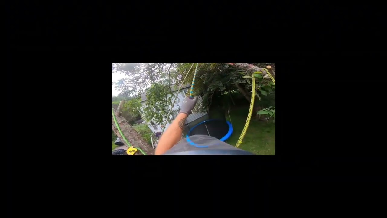 Extreme Arborist Tree Removal | High-Risk Cuts & Professional Tree Work (Part 9)