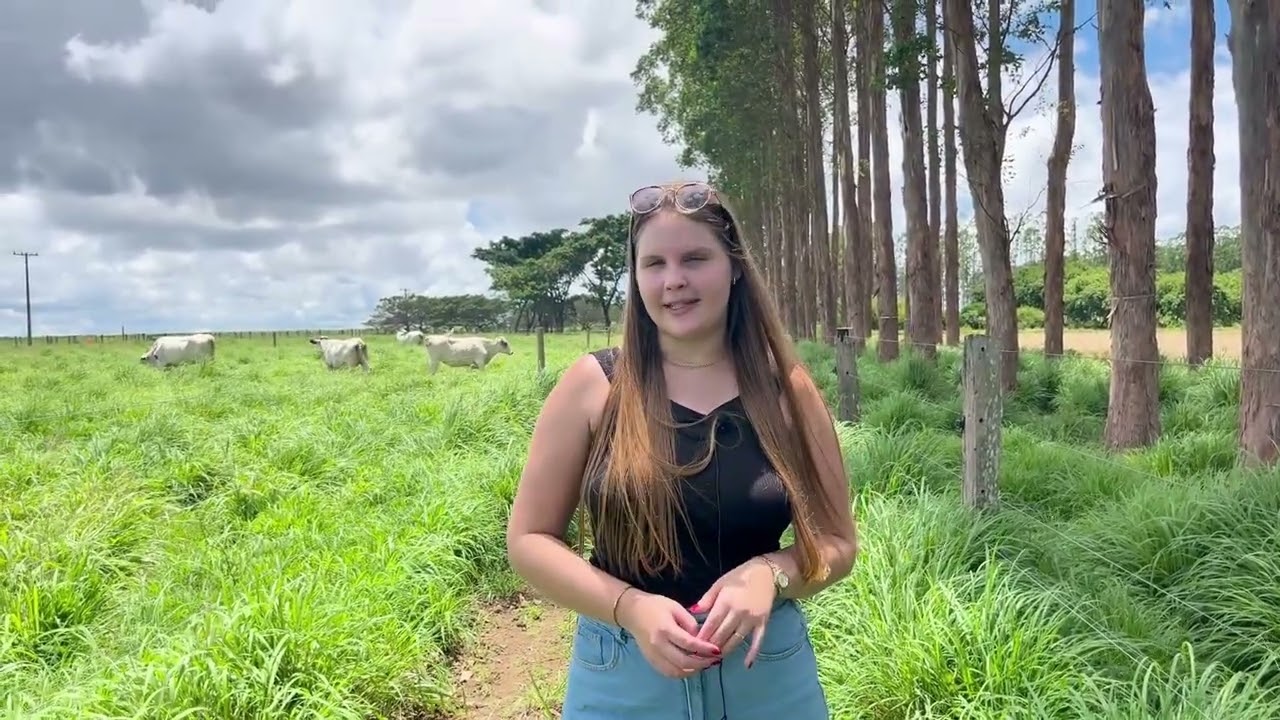 ILPF NA PRÁTICA PRODUZIR MAIS COM SUSTENTABILIDADE NO CAMPO