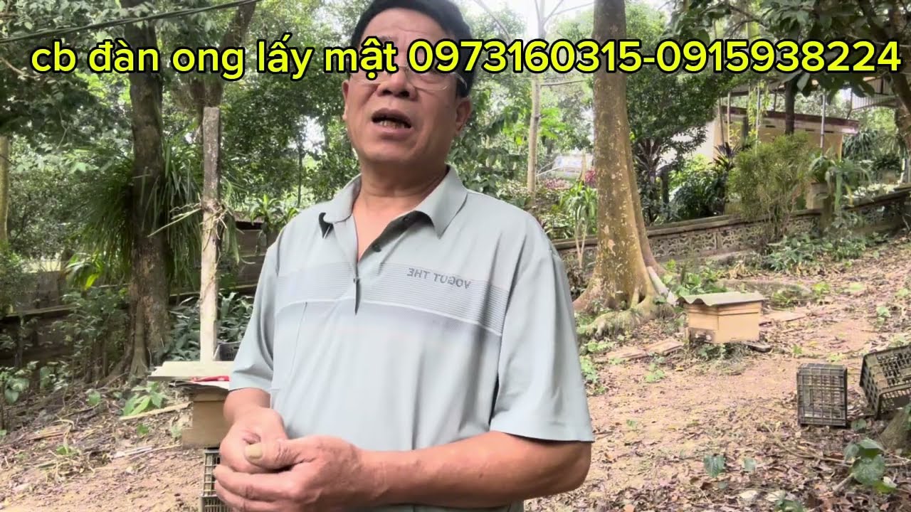 Chuẩn bị đàn ong vào vụ mật xuân