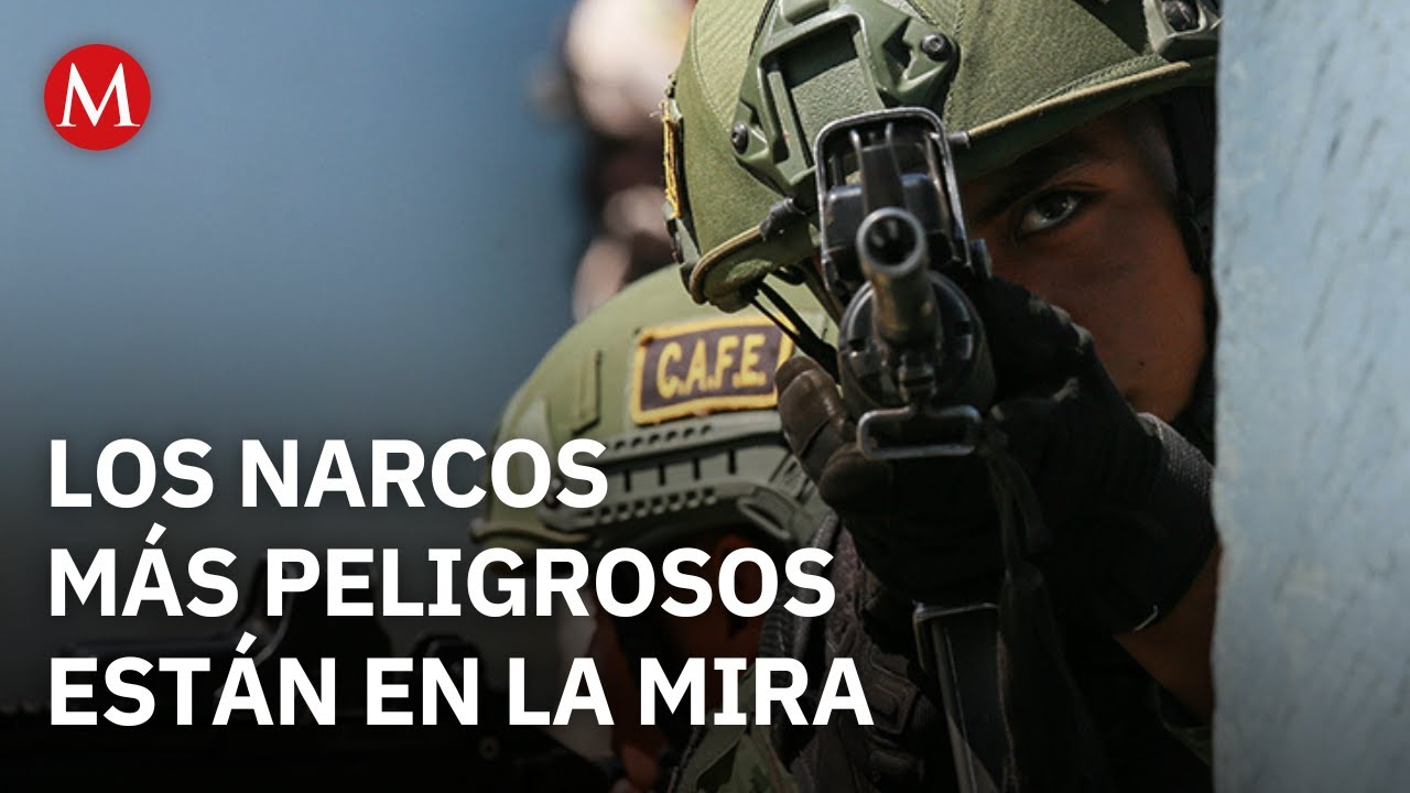 Fuerzas especiales y Semar inician cacería de capos con el “Plan Michoacán”