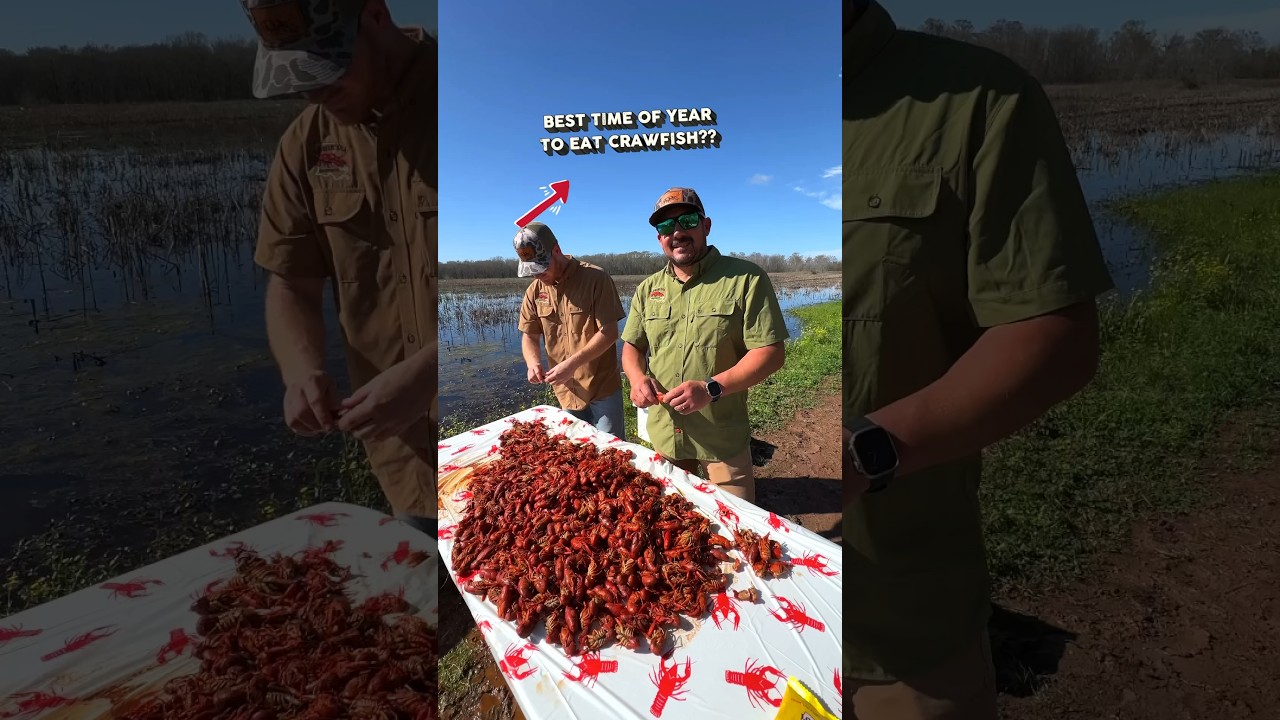 🦞 Early vs. Late Season Crawfish Boils