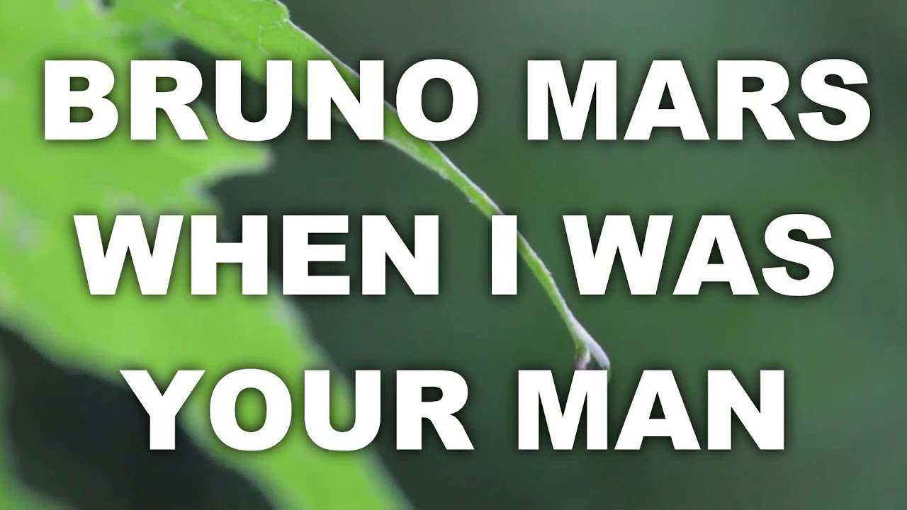 BRUNO MARS WHEN I WAS YOUR MAN SONG