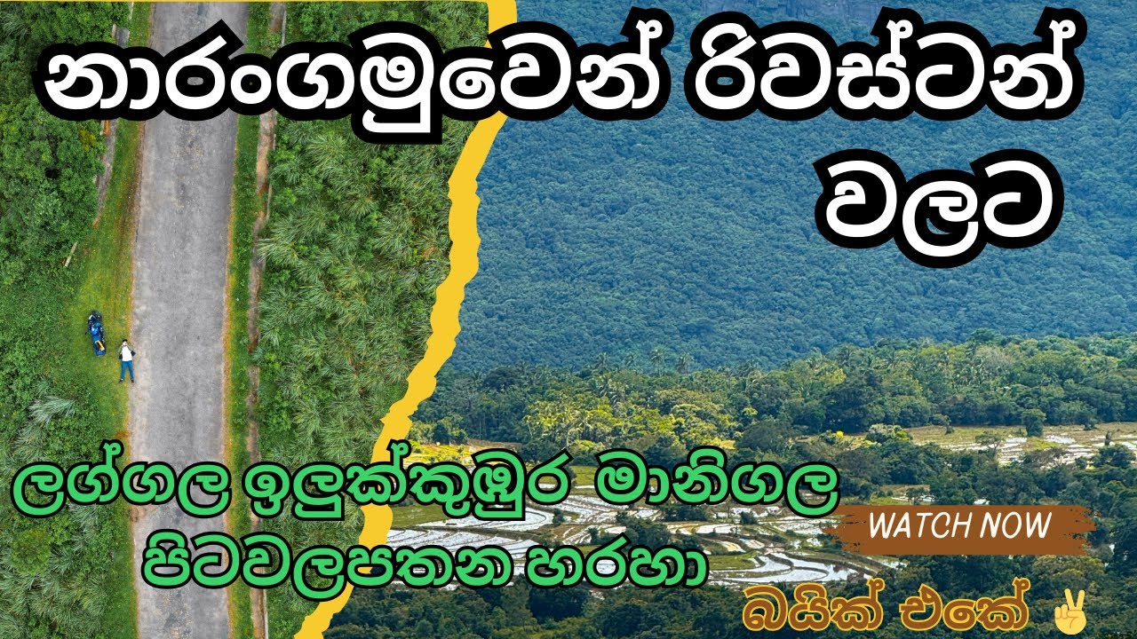 ඔයාල අනිවාර්යයෙන් යන්න ඕන ලංකාවේ ලස්සනම පාරක 🌿❤ / narangamuwa to reverston bike ride / traveller