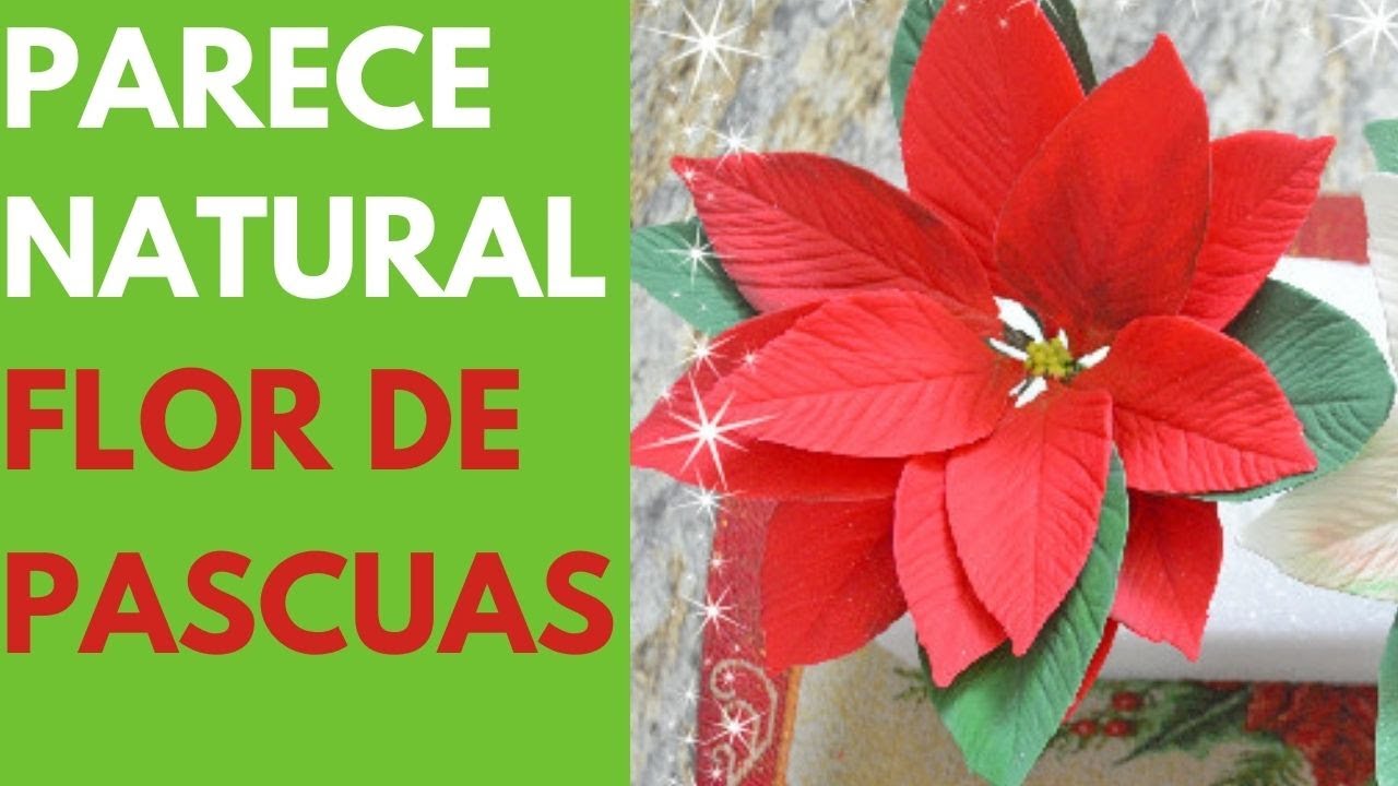 Flor de Pascua en Fondant