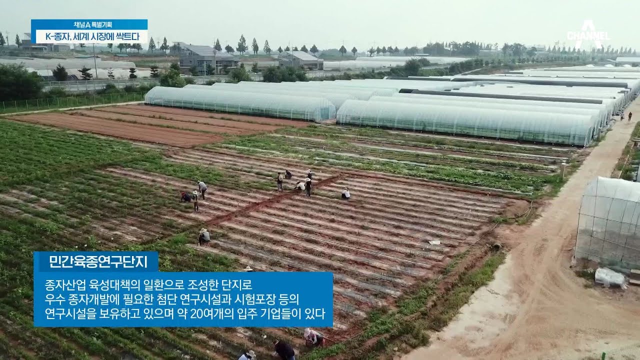종자강국으로 도약하기 위한 육종 개발을 지원하고 있는 민간육종연구단지 | 특별기획 K-종자, 세계 시장에 싹트다 1 회