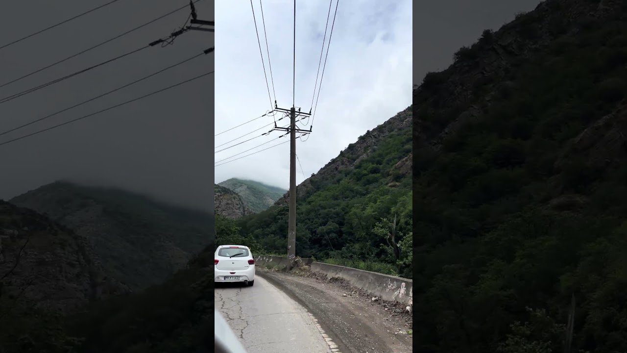 Driving Through a Dreamy Forest Road 🌲🚗✨ #asmr #nature #travel