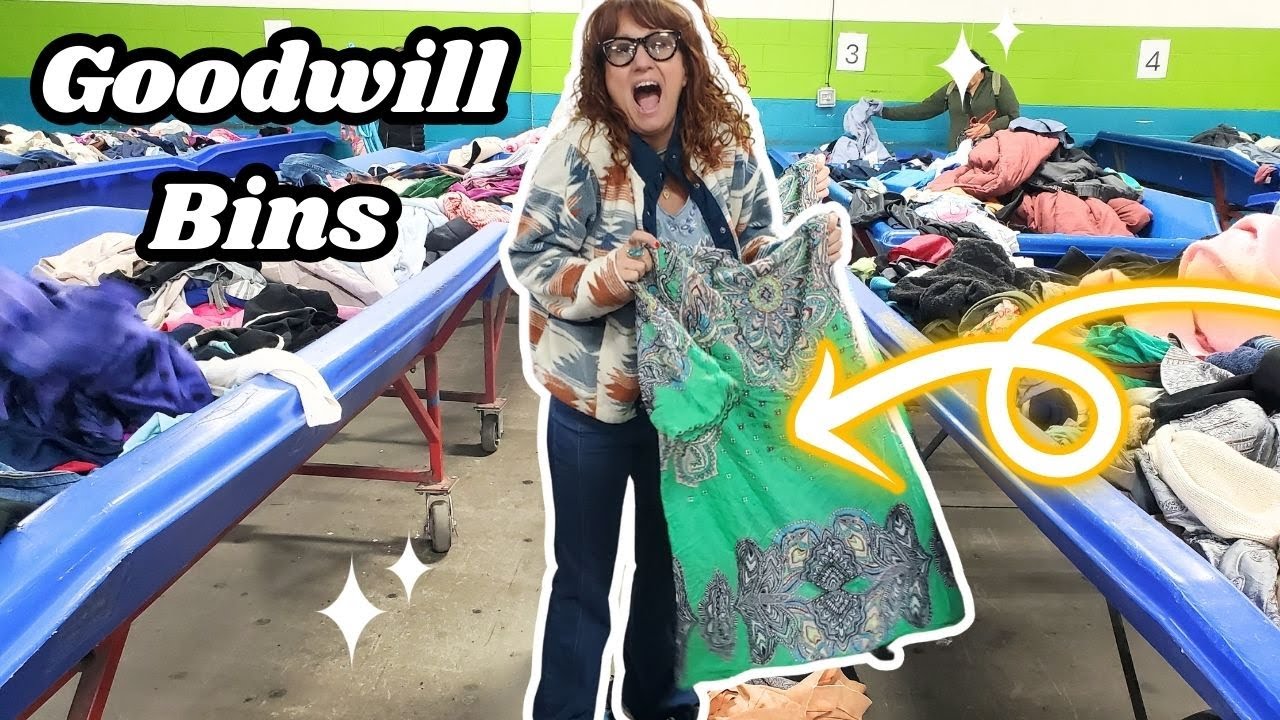 WHY DIDN'T ANYONE ELSE PICK THIS UP?! ~ + $200 Dress + BOLO BRANDS! ~ Goodwill Outlet Bins Haul