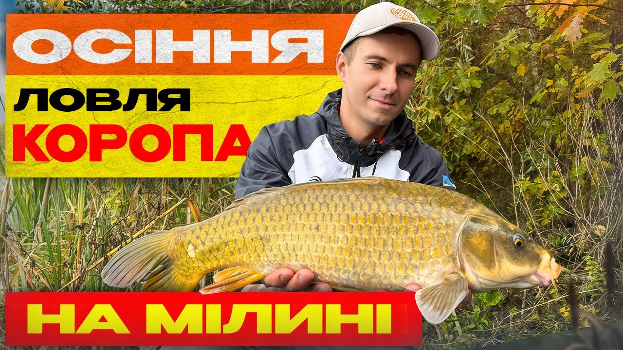 Осіння ловля на мілині — жереб підкинув сюрприз!