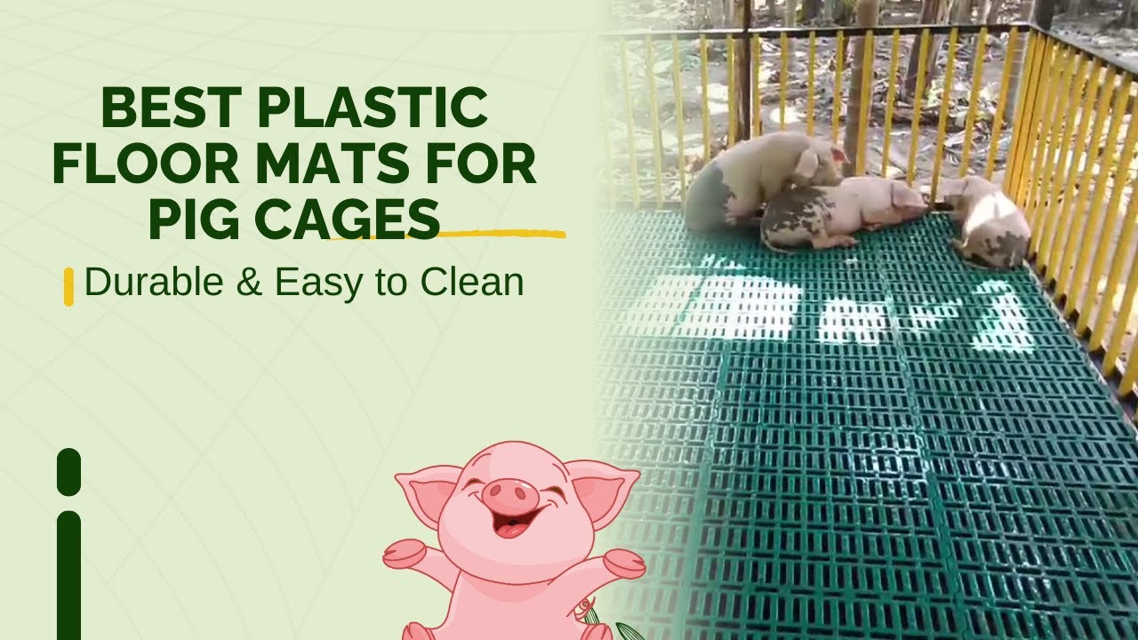 Best Plastic Floor Mats for Pig Cages 🐖 | Durable, Hygienic & Easy to Clean