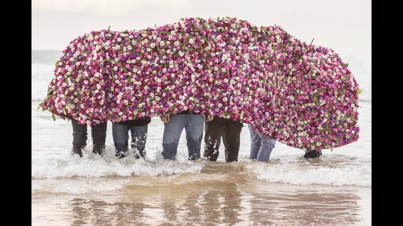 Sasha Vinci / A Human Flower Wall / NYC
