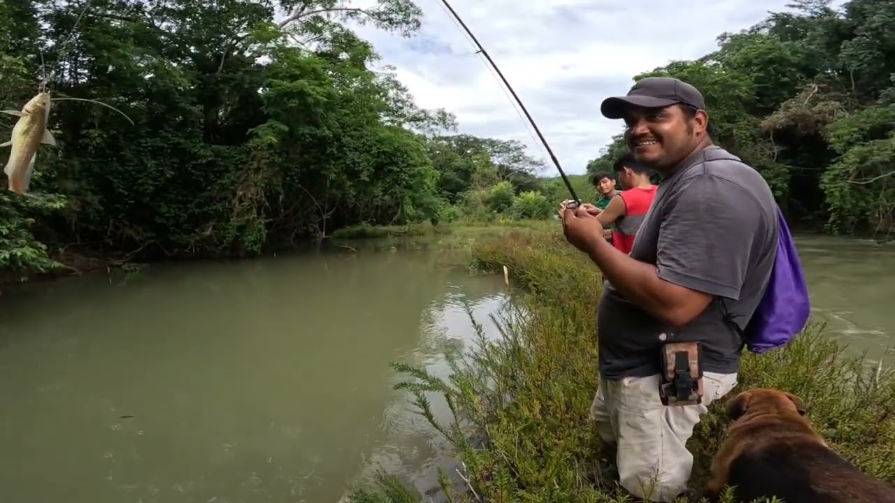 pesca de filines en aguas turbias y mas