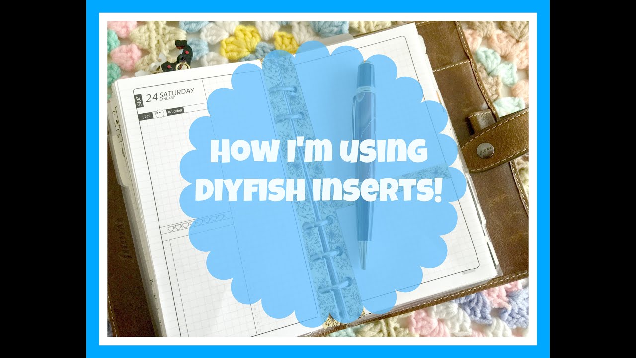DIYfish Inserts: Setup and How I'm Using Them! | Anita Anglin