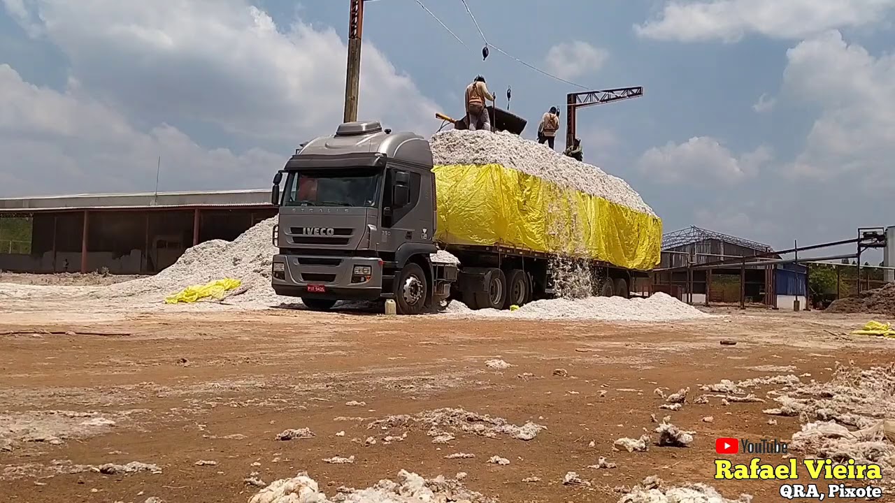 Carregamento do caroço de algodão- Uruçui-PI