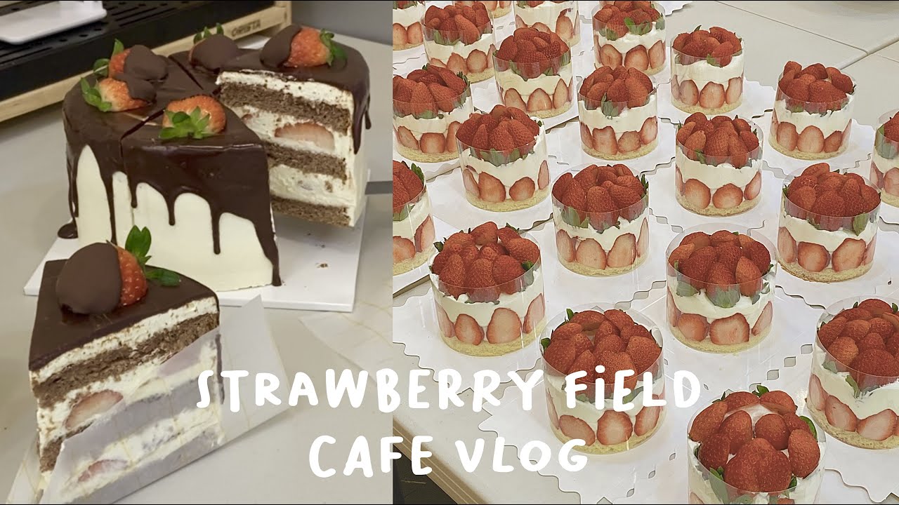 🍓 딸기에 미쳐버린 카페알바생브이로그 🌳 딸기밭케이크 120판 • 딸기그릭요거트마카롱 • 딸기티라미수컵 • 딸기초코케이크 • 딸기우유크림케이크