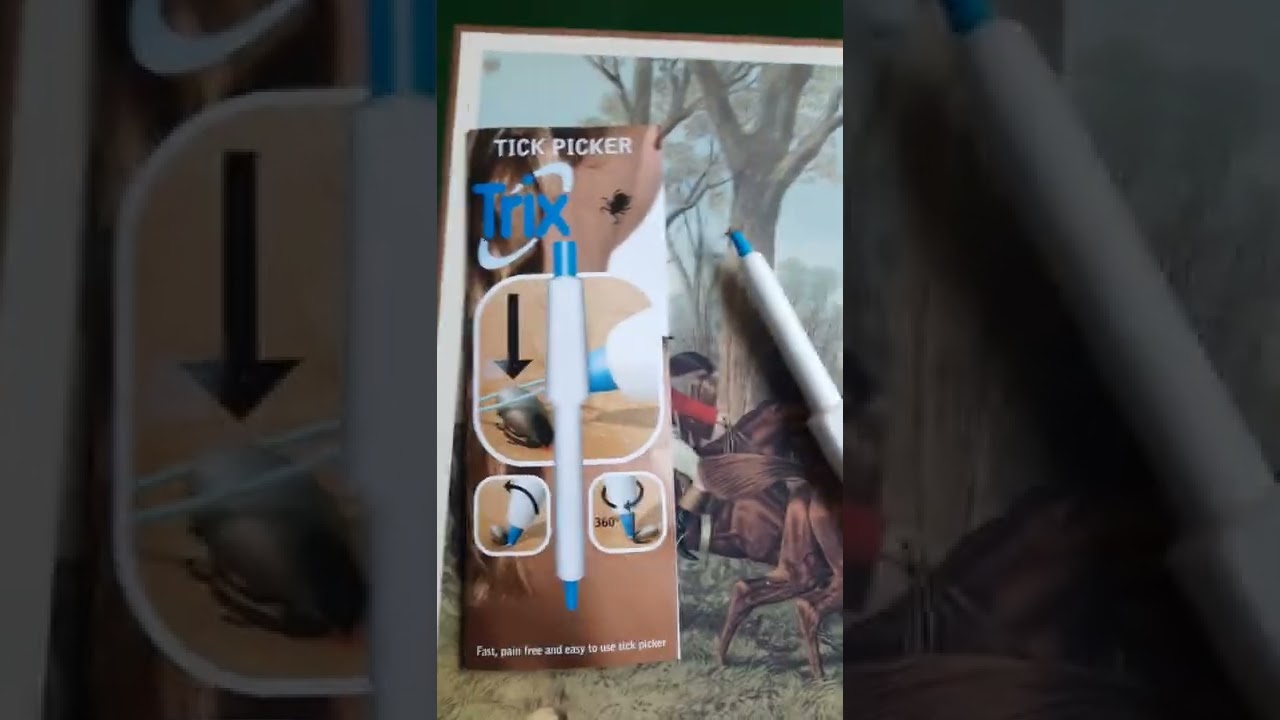 F&auml;stingplockare, b&auml;st i test