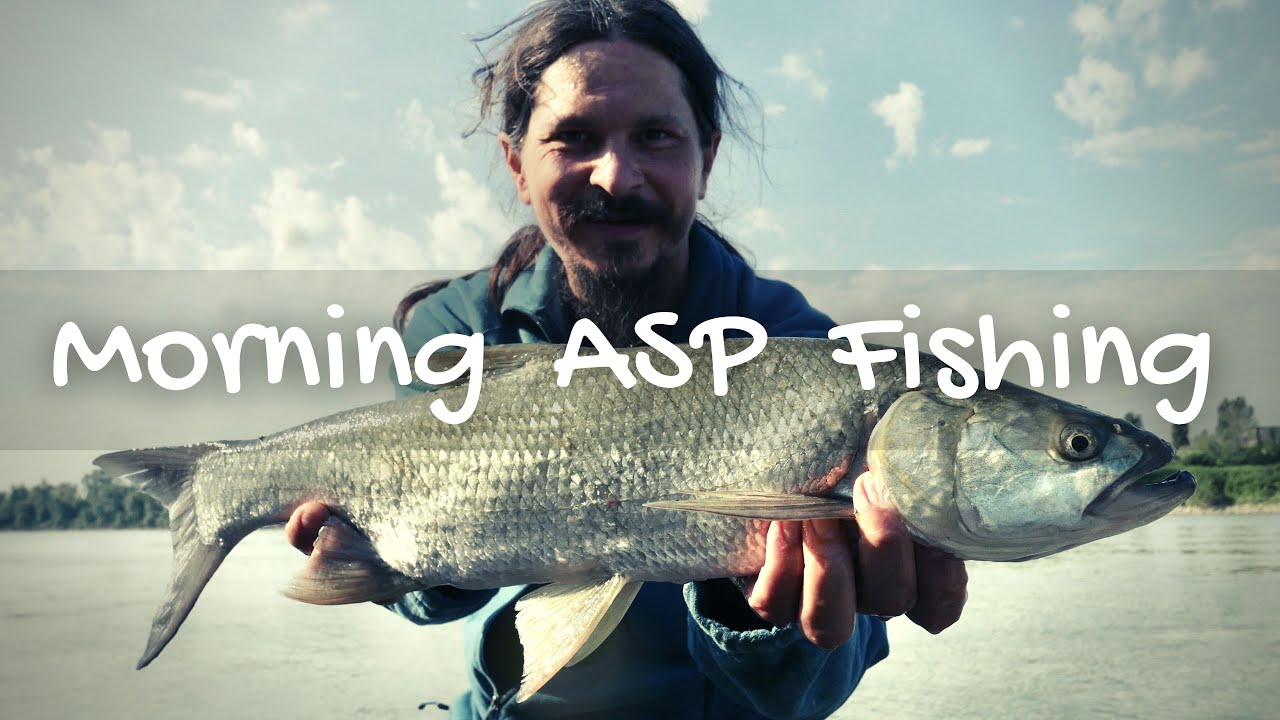 Short morning session ... ASP Fishing ...