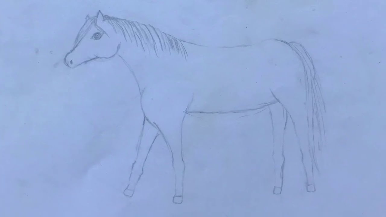 Hoe teken je een paard