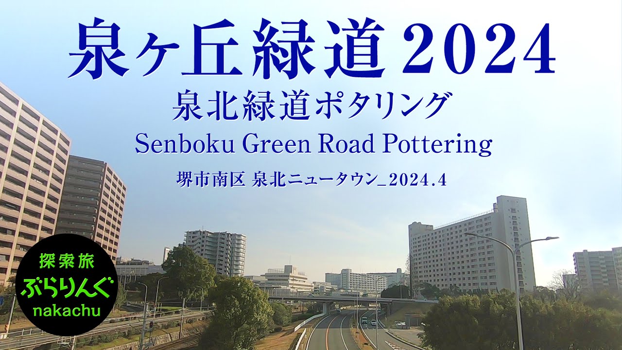 泉ヶ丘緑道  泉北緑道ポタリング_堺市南区　泉北ニュータウン_2024.4