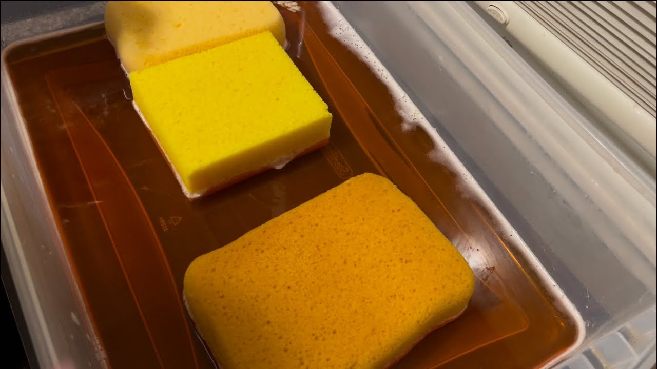 Pt 2 Lundmark w variety sponges