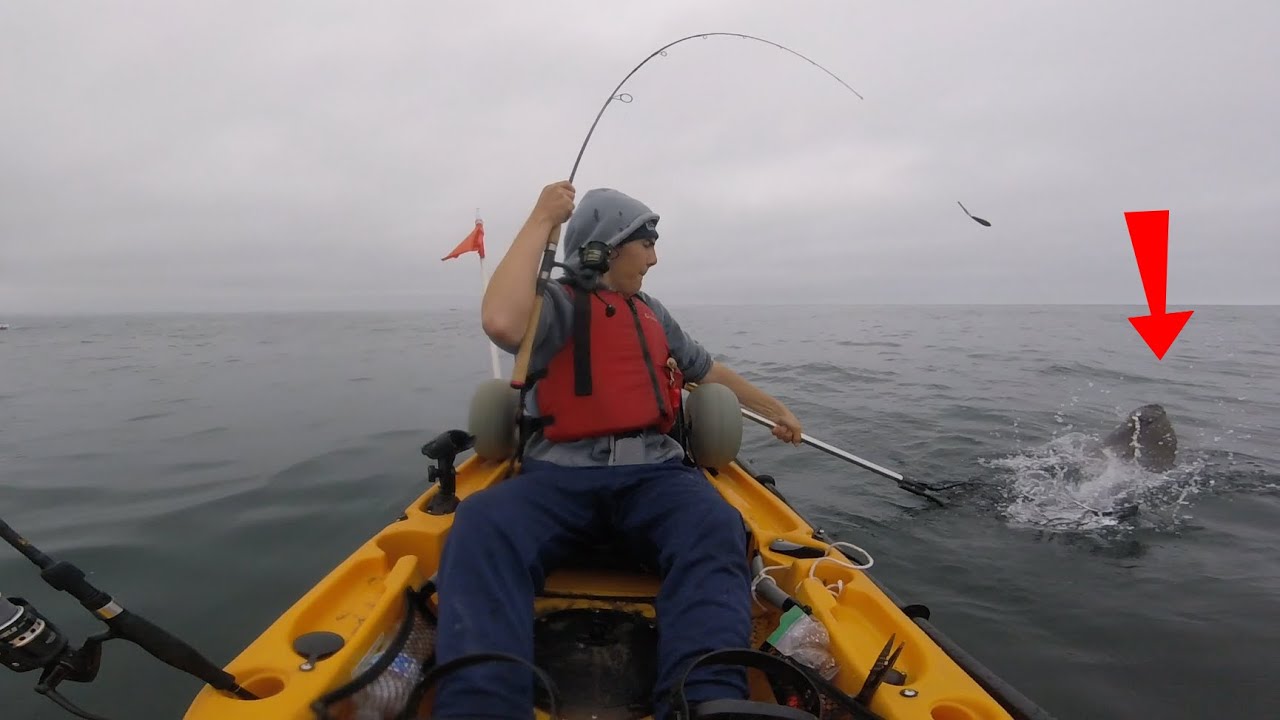 First Time Kayak Fishing… And This Halibut Went INSANE! - Santa Cruz