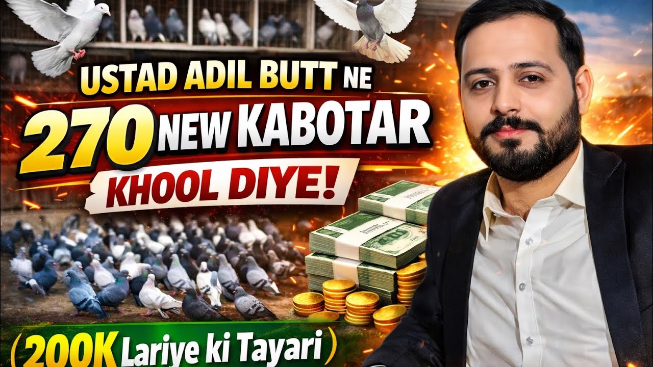 Ustad Adil Butt Ne 270 New Kabotar Choor  Diye   200 k Lariye Ki Tayari 😍@DelhipigeonLover ​