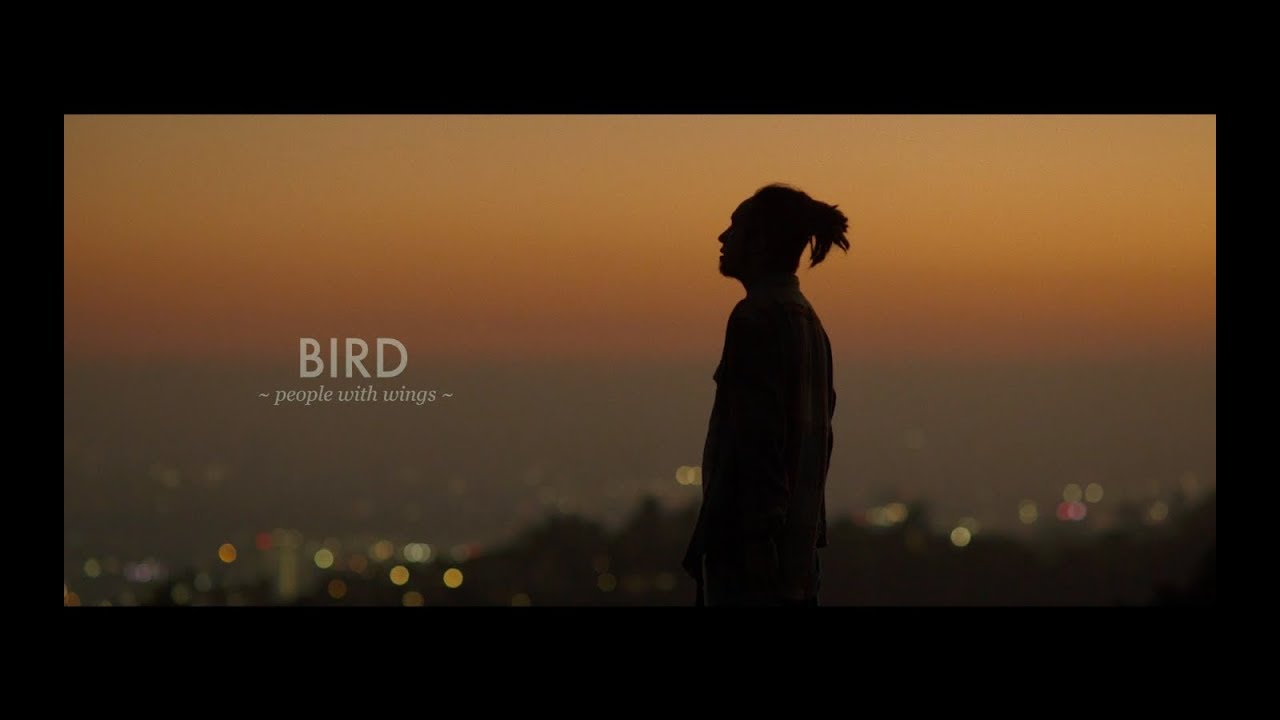 The BONEZ -Bird ~people with wings~-【Official Video】