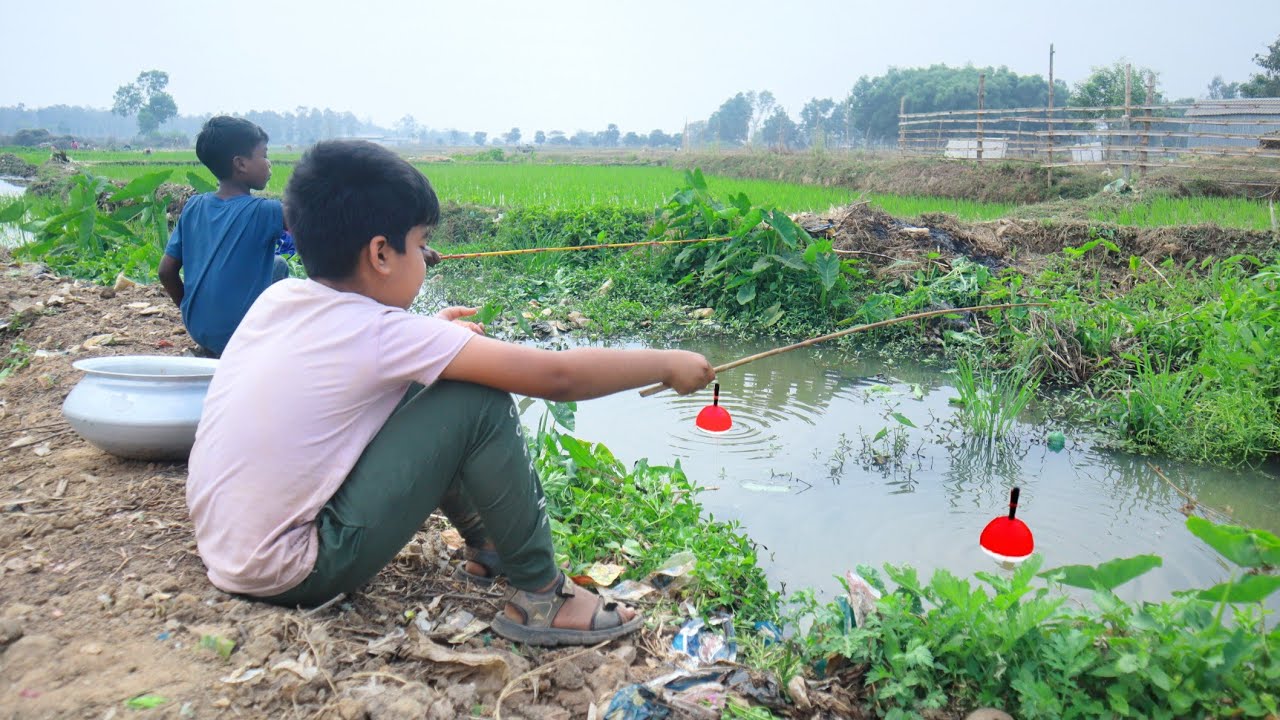Fishing Video || The boys always catches a lot of fish from the village canal | Best fishing trap