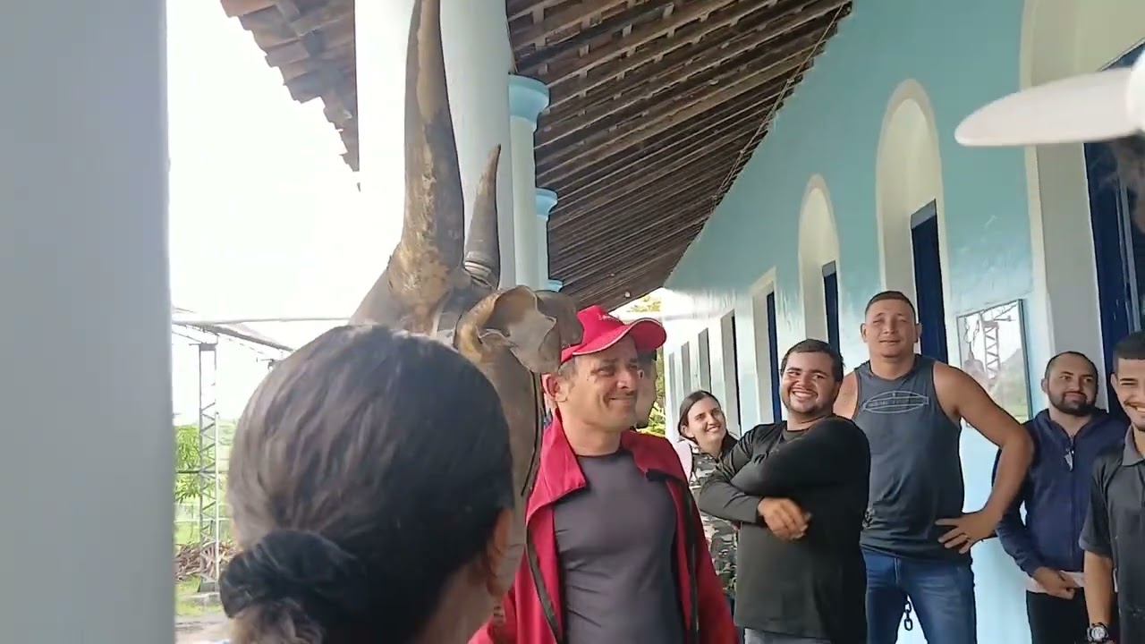 UMA GRANDE AVENTURA NA SENZALA EM REDENÇÃO CEARÁ 