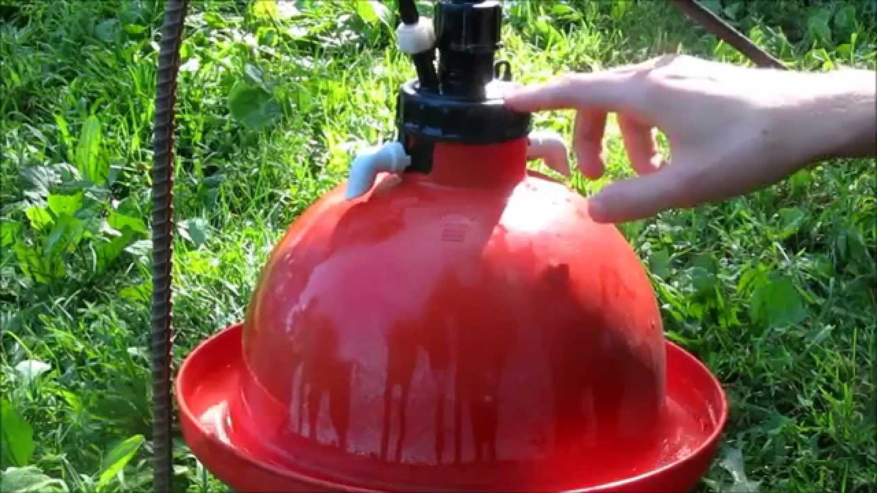 How a Plasson Broiler Drinker Works