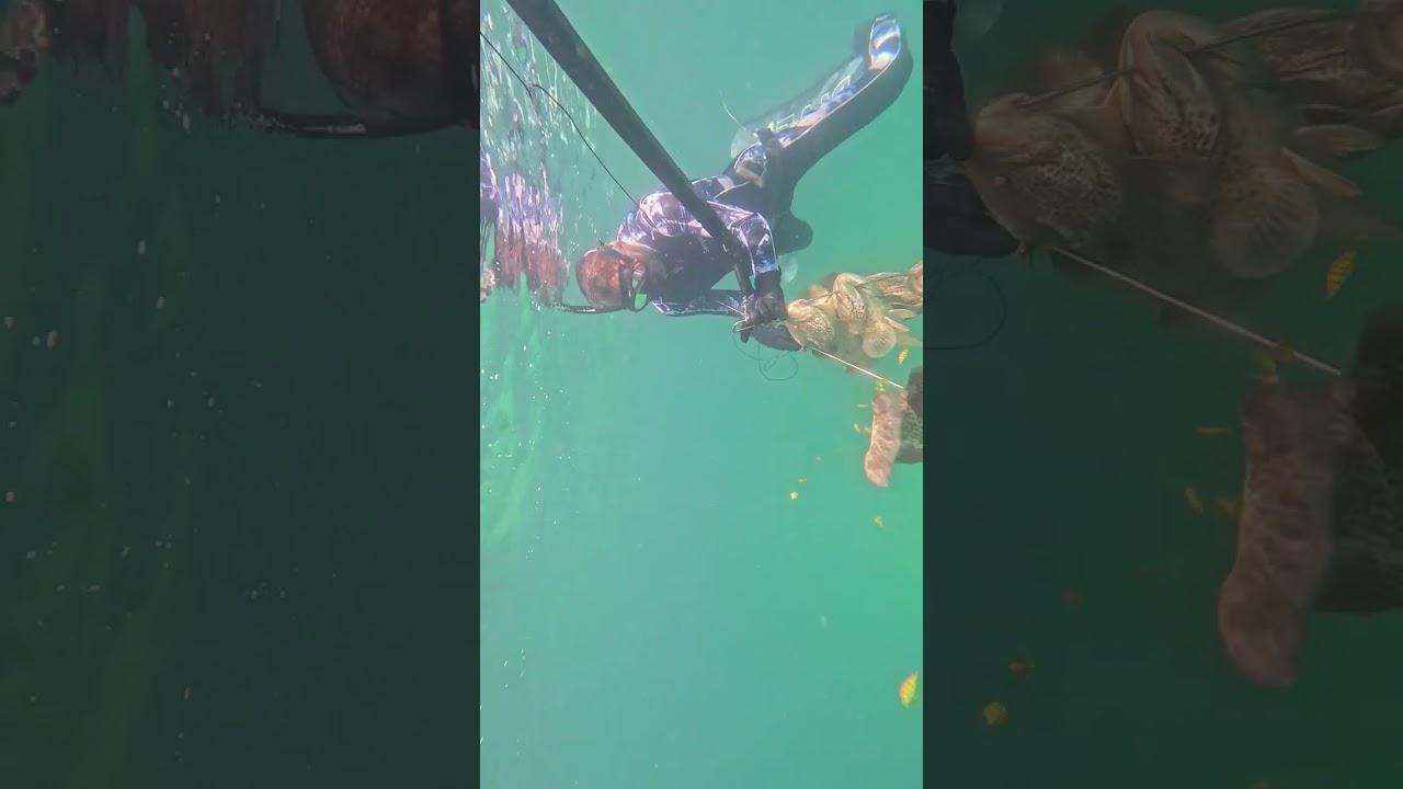 Fawaz AL Hasawi- Epic Grouper Adventures: Underwater #freediving