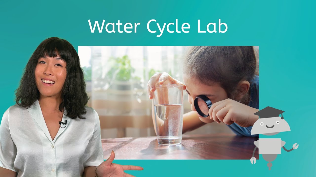 Water Cycle Lab - The Impacts of Temperature on the Water Cycle