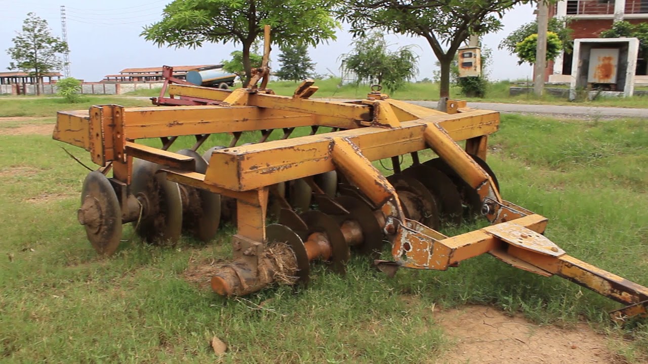 Jantar (Dhaincha - Sesbania) Production Technology  -  جنتر کی کاشت - |BaKhabar Kissan|