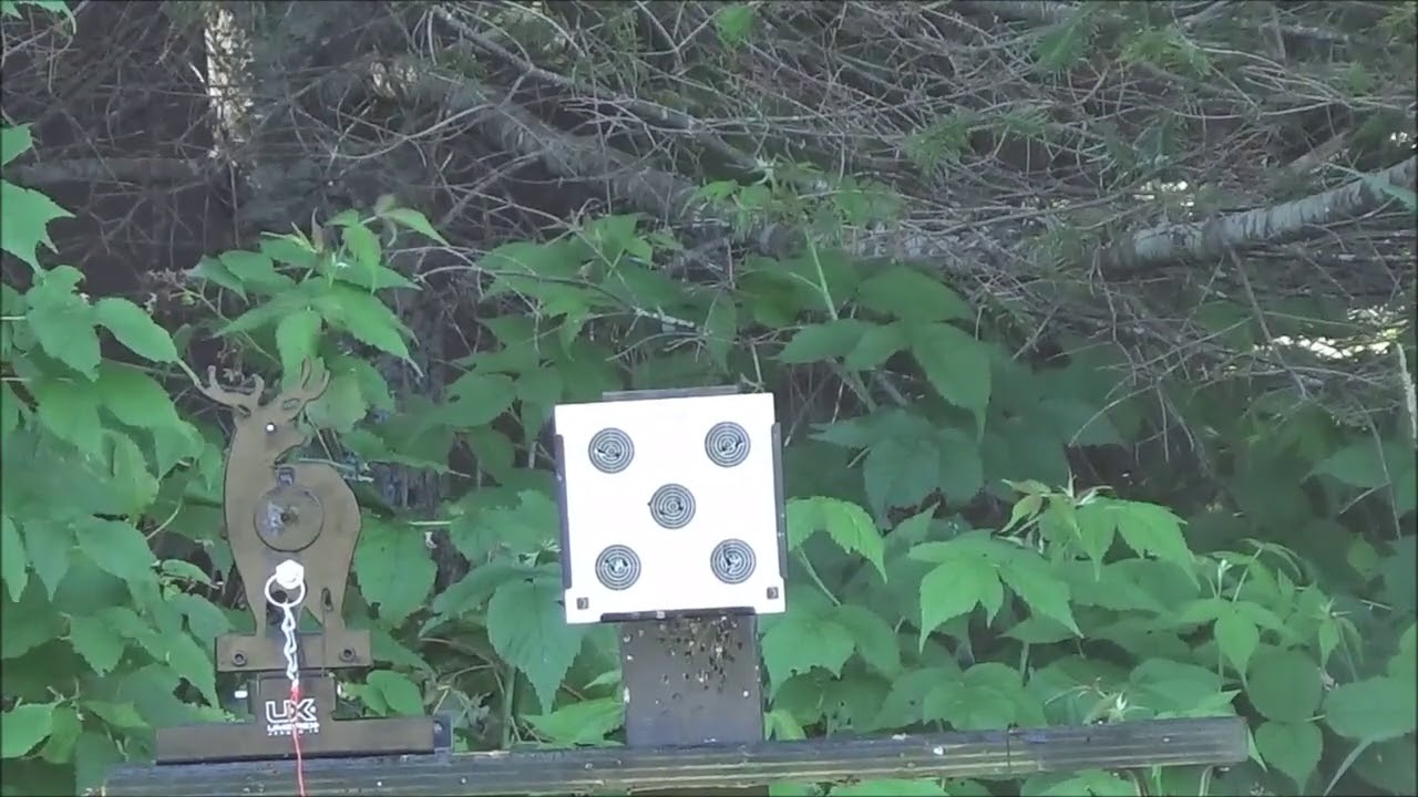 Diana Trial Scout 10 Meters Shooting At A 10 Meter Air Rifle Target These Are Tiny