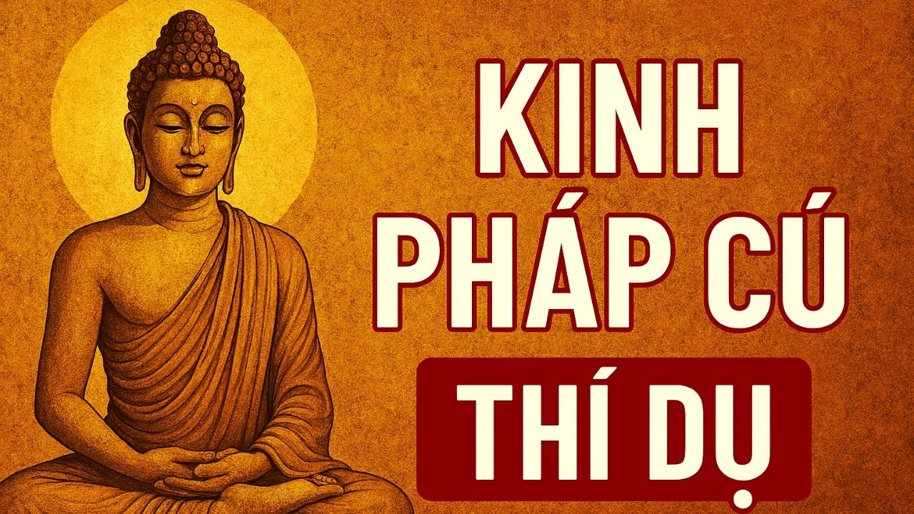 Những Câu Chuyện Trong Kinh Pháp Cú Thí Dụ Làm Thay Đổi Cuộc Đời