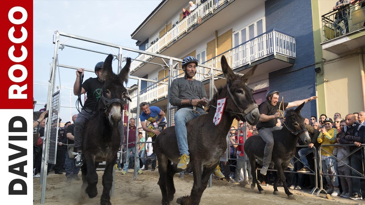 Camposano Palio - The Donkey Race | David Rocco's Dolce Napoli