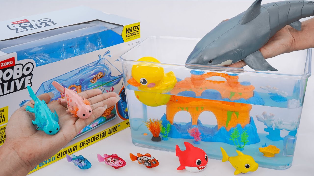 [Toy asmr] Baby Shark & Zuru Robo Fish & Aquarium Playset & RC Shark ASMR Satisfying with Unboxing