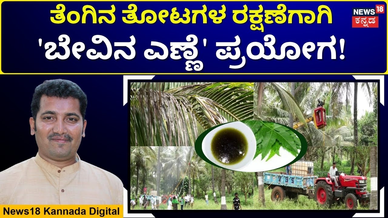 Neem Oil Trial Initiated To Curb Coconut Tree Disease|ತೆಂಗನ್ನು ಕಾಡ್ತಿರುವ ಮಾರಕ ರೋಗಕ್ಕೆ ಹೊಸ ತಂತ್ರ|N18V