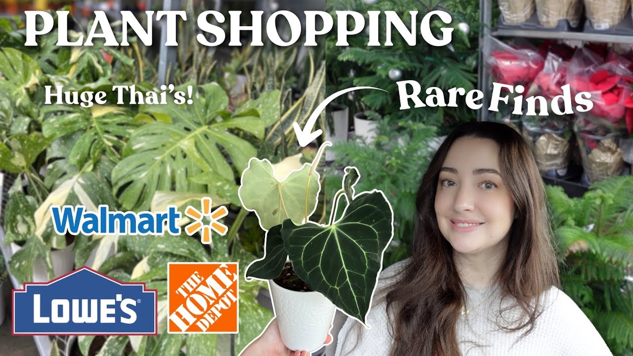 4-STORE Big Box Plant Shopping! | December 2025  🛒🎄