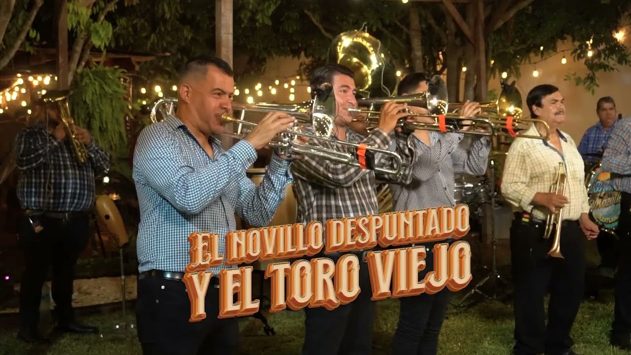 EL NOVILLO DESPUNTADO Y EL TORO VIEJO