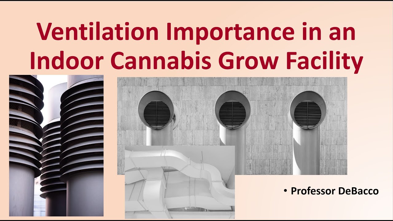 Ventilation Importance in an Indoor Cannabis Grow Facility