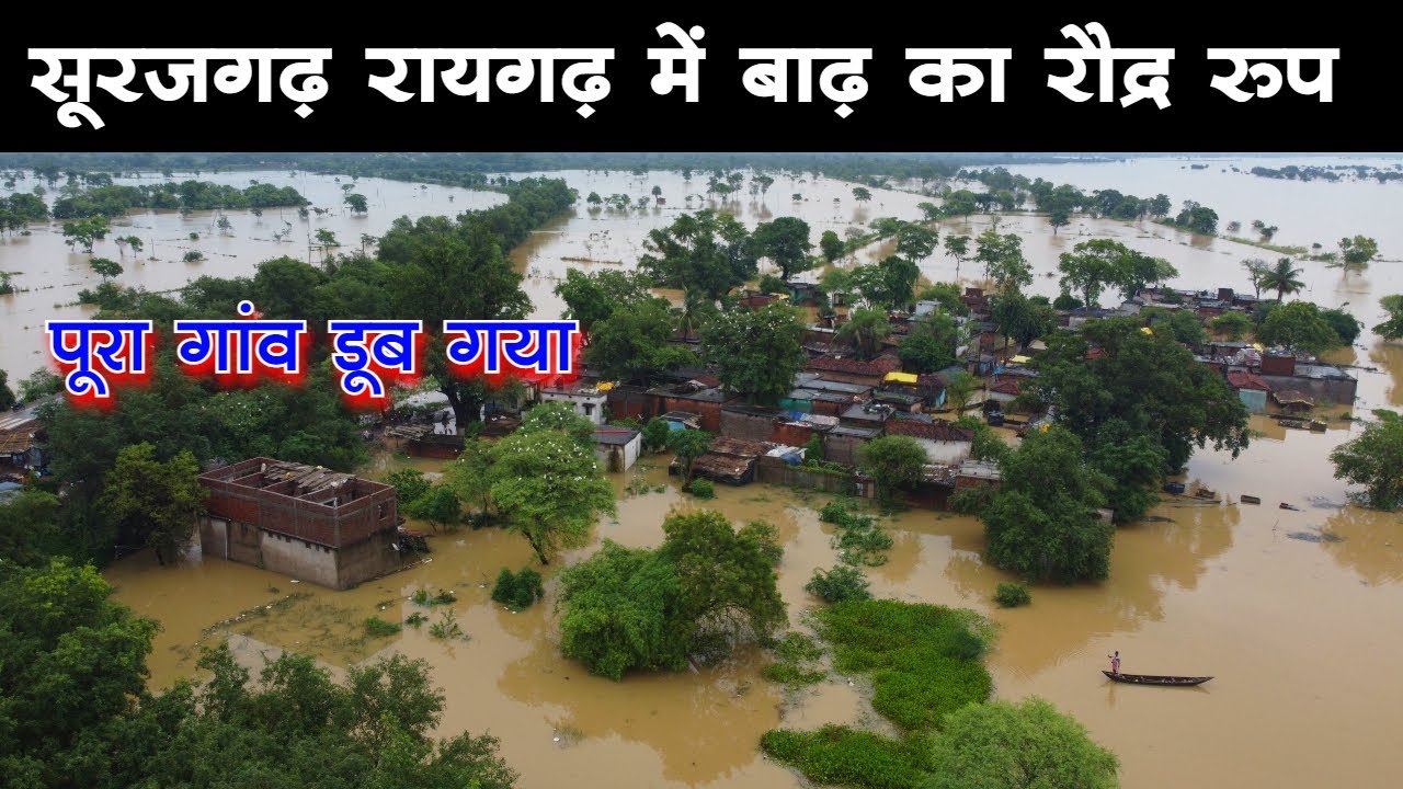 सूरजगढ़ रायगढ़ में बाढ़ पूरा गांव डूब गया महानदी के पानी में / महानदी में बाढ़ का रौद्र रूप  flood 2022