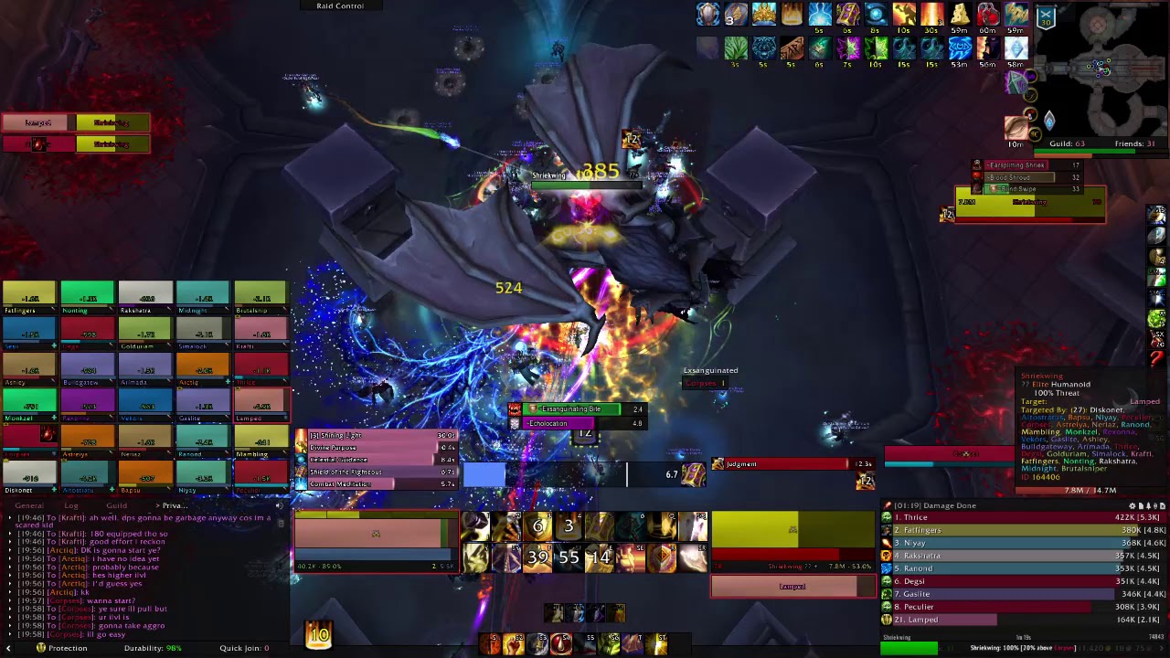 Castle Nathria - Normal Shriekwing - Protection Paladin(Tank) POV