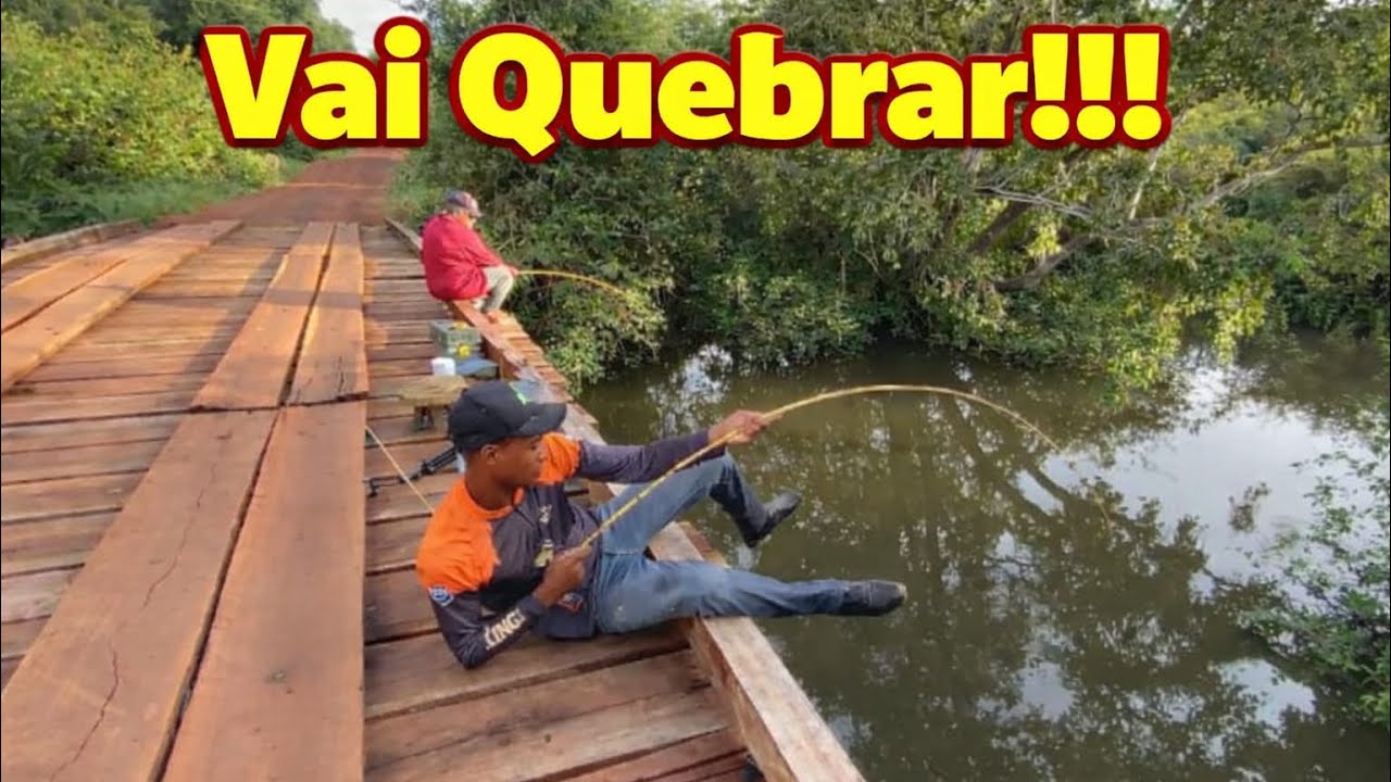 “Olha o Tamanho Disso! Quase Deu Ruim 😱”