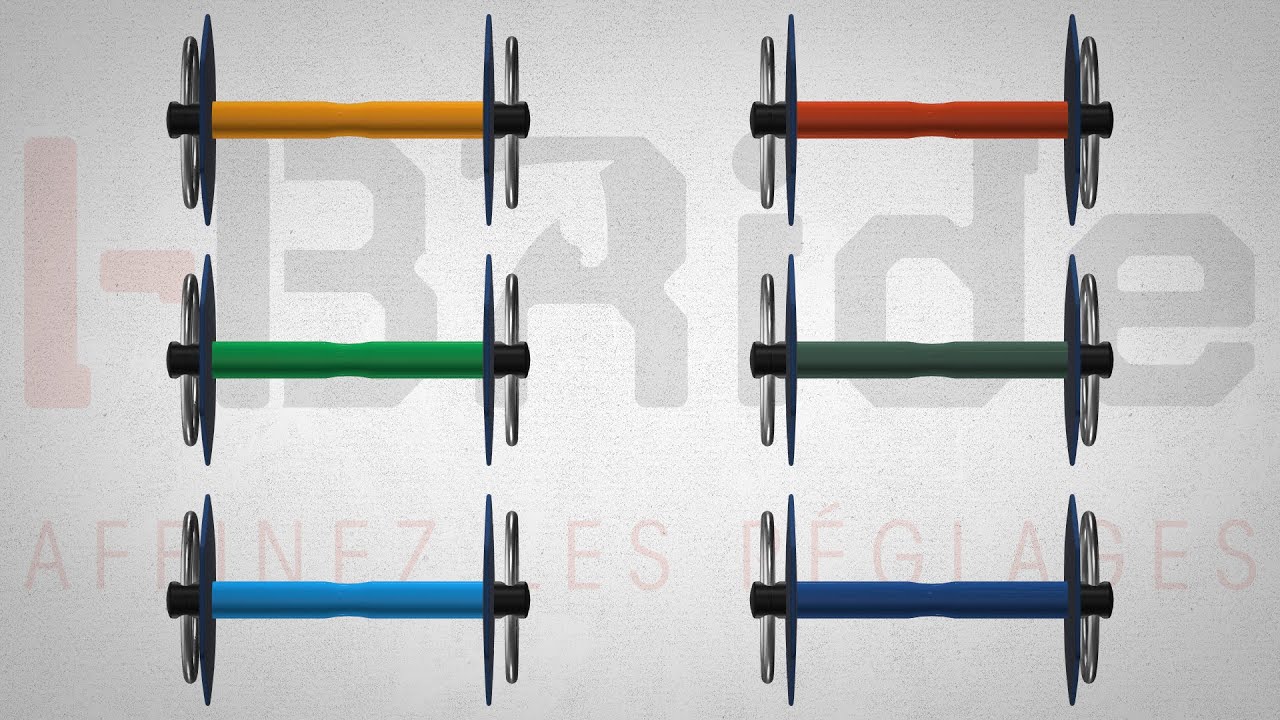 Aide au choix du mors I-Bride