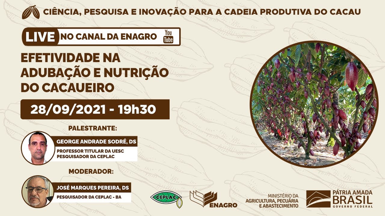 Webinar | Efetividade na Adubação e Nutrição do  Cacaueiro