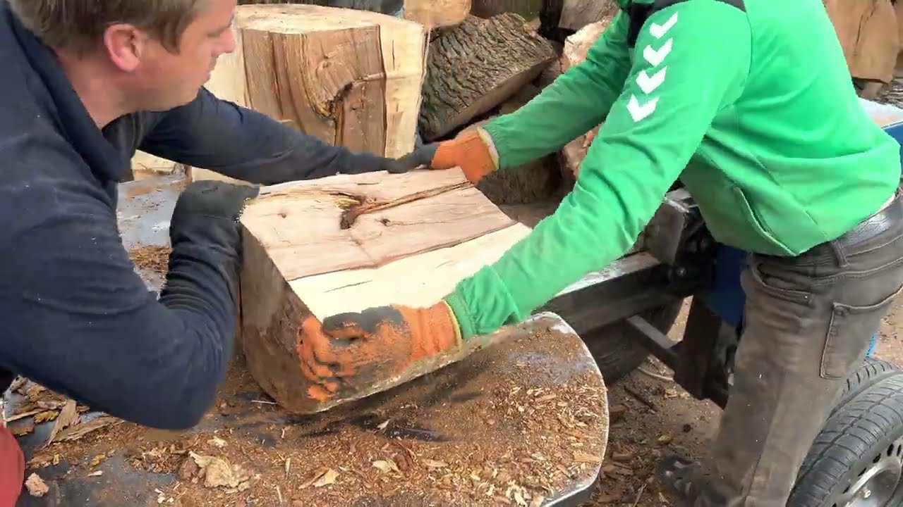 Where Giant Logs Become Firewood