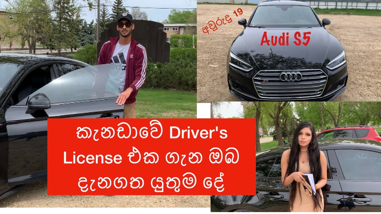 කැනඩාවේ Driver's License එක ගැන ඔබ දැනගත යුතුම දේ| Driver's License in Canada (Alberta)